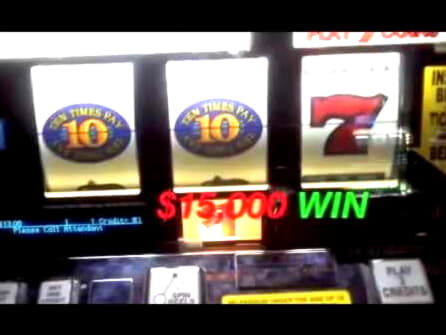 555% Match Bonus at Casino Share