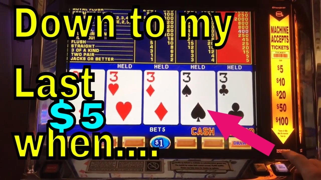 220 Free spins no deposit casino at Golden Star Casino