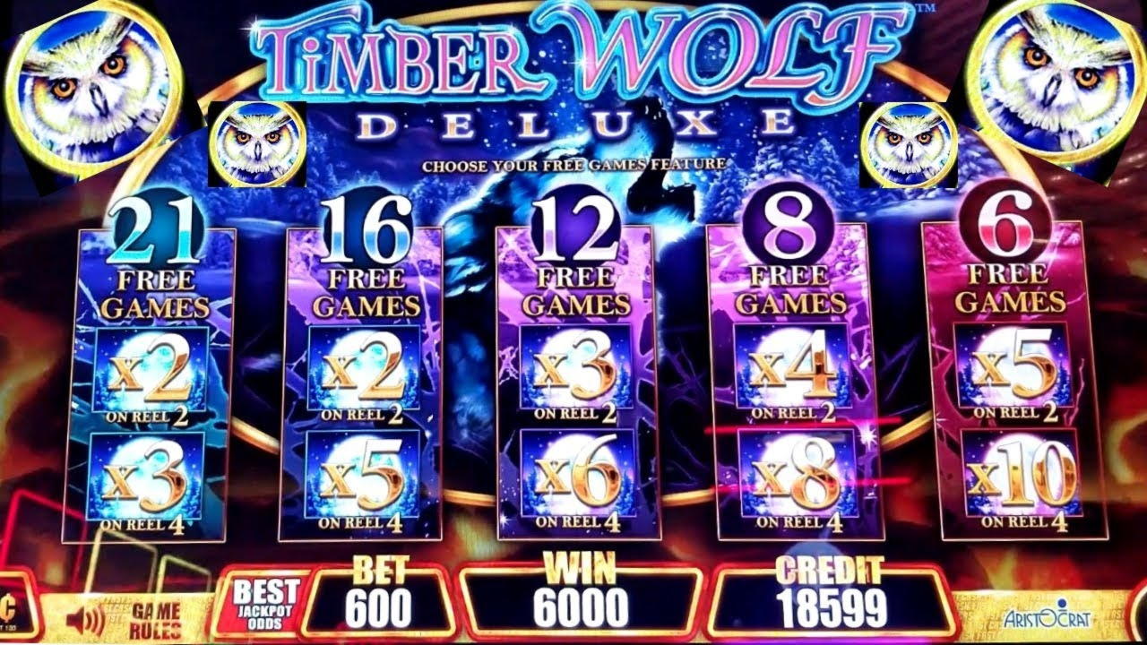 €2835 NO DEPOSIT CASINO BONUS at Dafa Bet Casino