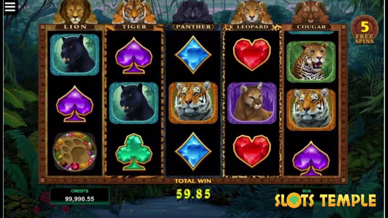 125% Match at a casino at BranGo Casino