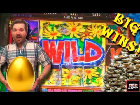 $2975 no deposit bonus casino at Casino Action