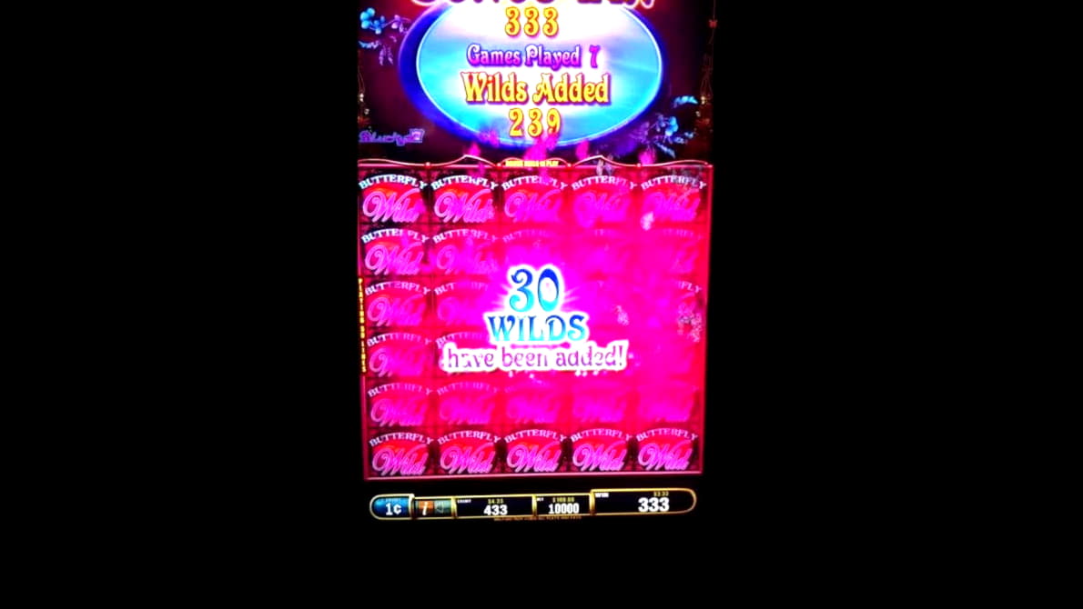 945% Signup Casino Bonus at Casino Share