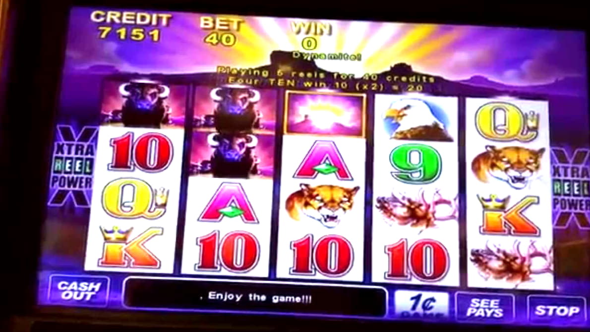 ﻿$30 Daily freeroll slot tournament at Miamidice Casino