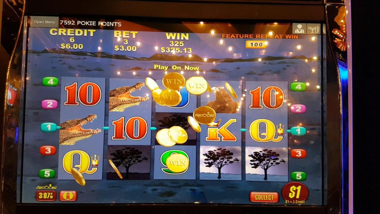€44 Tournament at Golden Star Casino