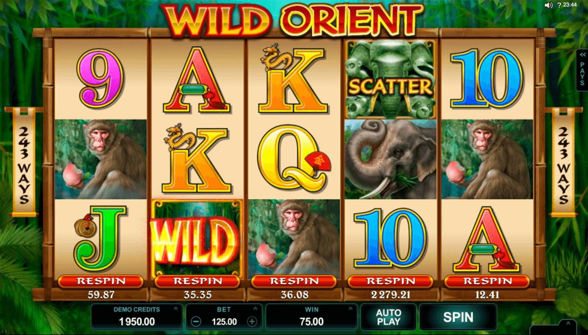155 Free Spins no deposit at Casino Share