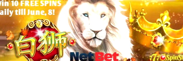 295 free spins casino at BranGo Casino