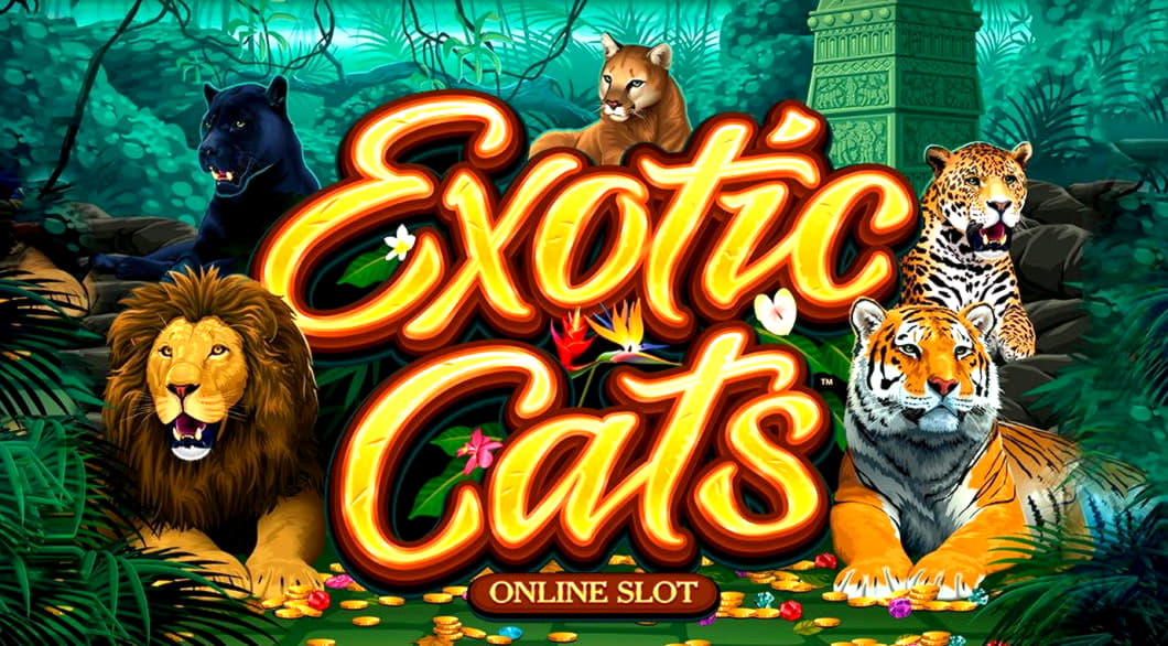 765% Best signup bonus casino at Slots Billion Casino