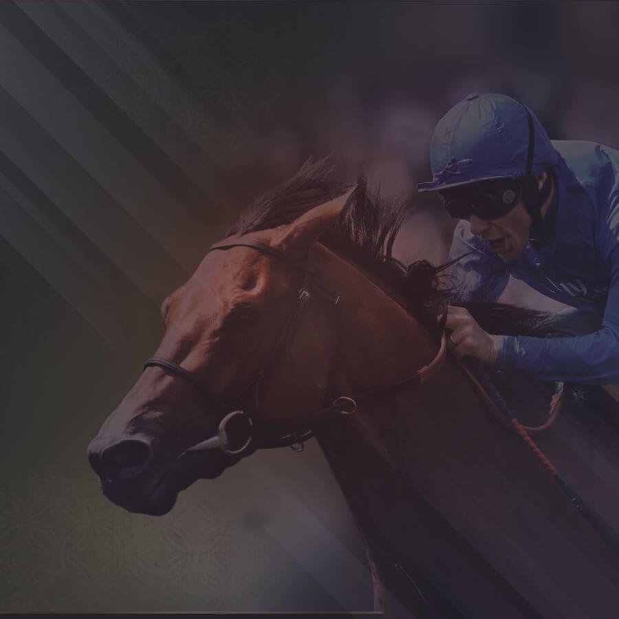 375% Best signup bonus casino at Casino Share