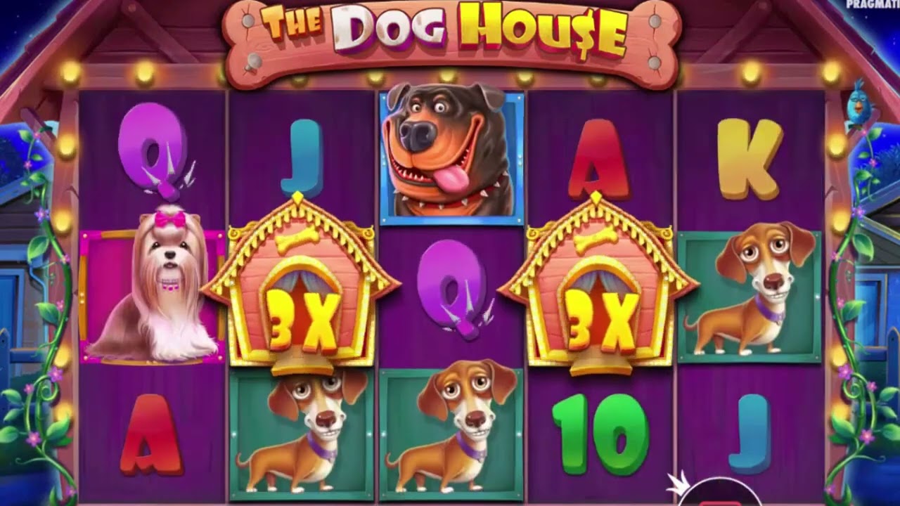 casino slots promo code,promo code admiral casino,promo code for eagle casino and sports